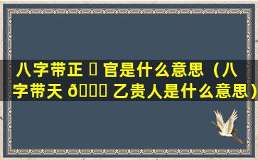 八字带正 ☘ 官是什么意思（八字带天 🐛 乙贵人是什么意思）